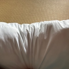 NITORI枕　新品未使用の画像
