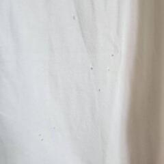 GUCCI GGロゴ Tシャツ XL ホワイト チェックの画像