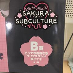 タイトー　一番くじ　B賞　桜ミク大きなアクスタ（未開封）の画像