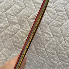 【1冊】だめよ、デイビッド！の画像