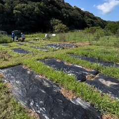 糸島市の貸し農園～自然豊かな場所と風が吹き抜ける畑～の画像