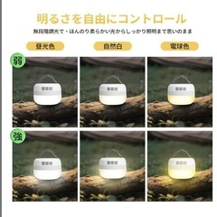 LEDランタン キャンプ　 リモコン マグネット内蔵 防水 Type-C 充電式の画像