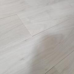 ピタフィーの画像