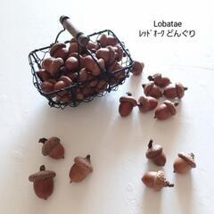 魔女の棲む森 ～Petite Foret～     dried-botanical wreath Halloweenの画像