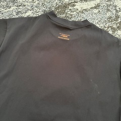 TIGORA ビームスデザインT サイズMの画像