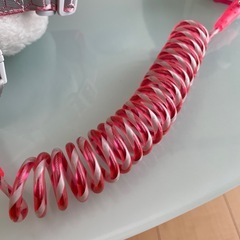子供用ハーネス　の画像