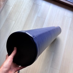 ストレッチポールEX LPN社製の画像