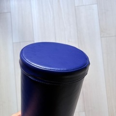 ストレッチポールEX LPN社製の画像
