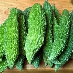 ゴーヤー大量の画像