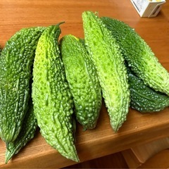 ゴーヤー大量の画像