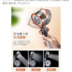 シャワーヘット　箱ありの画像