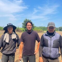 9月限定の農業スキマバイト！さつまいもの収穫・選別のお手伝いさん募集中♪🍠の画像
