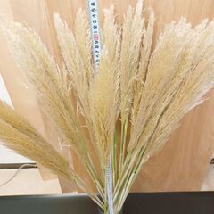 ✨ 天然　パンパスグラス　100~120cm 20本 生花 花材  ドライ 観葉 インテリア の画像