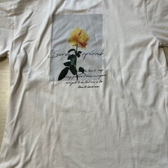 イングTシャツ3枚の画像