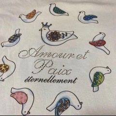 レディースティシャツMの画像