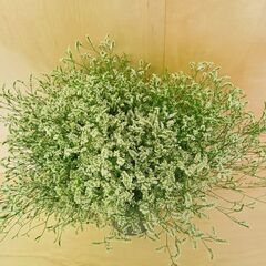 ✨50本 HBスターチス　雲海　八重咲き　ドライフラワー　スワッグの画像