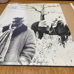 南こうせつ　LPレコード　僕は緑の風の画像