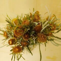 ✨ 25本 フォルモーサ　ワイルドフラワー 生花 ドライの画像