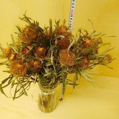 ✨ 25本 フォルモーサ　ワイルドフラワー 生花 ドライの画像