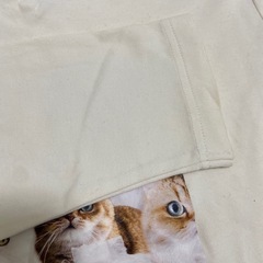 ポールアンドジョーのロンTの画像