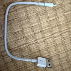 Lightning端子イヤホンと充電ケーブルの画像