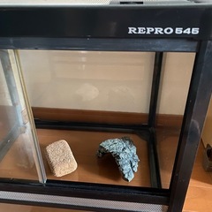 REPRO 545 飼育ケージ ガラス製の画像