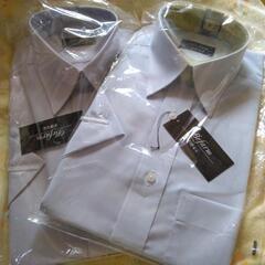 きれいなシャツ👔いかが？の画像