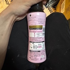 レノア　オードリュクス　サンデーの画像