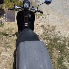 AF67トゥデイの画像