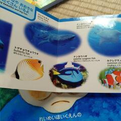 絵本の画像