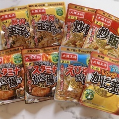 大阪王将　中華惣菜の素シリーズ5種8袋セットの画像
