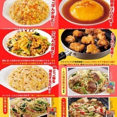 大阪王将　中華惣菜の素シリーズ5種8袋セットの画像