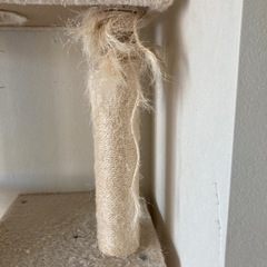 突っ張りキャットタワーの画像