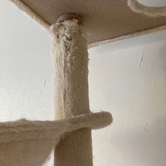 突っ張りキャットタワーの画像