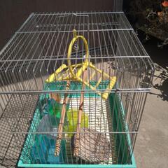 鳥かご ゲージの画像