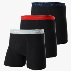 Hanes ヘインズ ボクサーブリーフ LL 3枚セット FreshIQ 抗菌防臭の画像