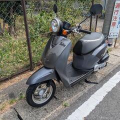 ホンダ TODAY AF61 トゥデイ  セル始動 現車確認可 ガンメタの画像