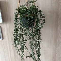 造花インテリア3点セット&おまけつきの画像