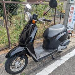 ホンダ TODAY AF61 トゥデイ セル始動 現車確認可 黒の画像