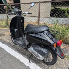 ホンダ TODAY AF61 トゥデイ セル始動 現車確認可 黒の画像