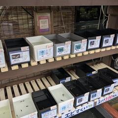 生クロレラ　90ml　500円　宜野湾市大謝名小学校の裏門前　Googleマップにのってます
の画像