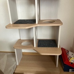 キャットタワーの画像