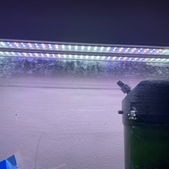 ADA60センチ水槽セットの画像