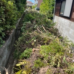 　廃材　マキ　薪　キャンプ　木材　　の画像