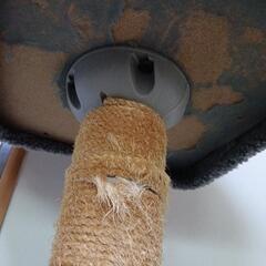 キャットタワーの画像