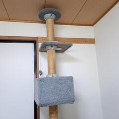 キャットタワーの画像