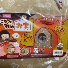 こたつの和み お家の画像