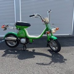 ユーディーミニの画像