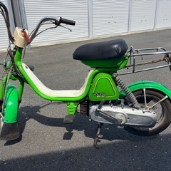 ユーディーミニの画像