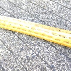  ≪民族楽器≫レインスティック サボテン 楽器 雨音 海 波 ロング アンデス　        	272050000SK960の画像